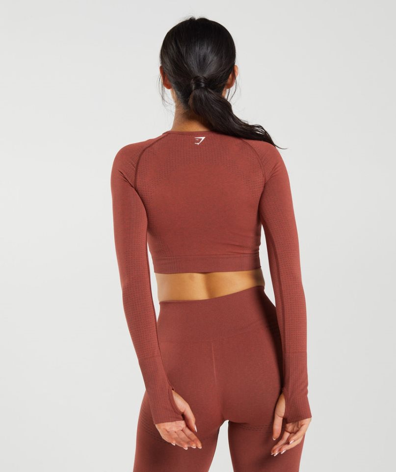 Women's Gymshark Vital Seamless 2.0 Cropped Tops Brown | CA 08D156